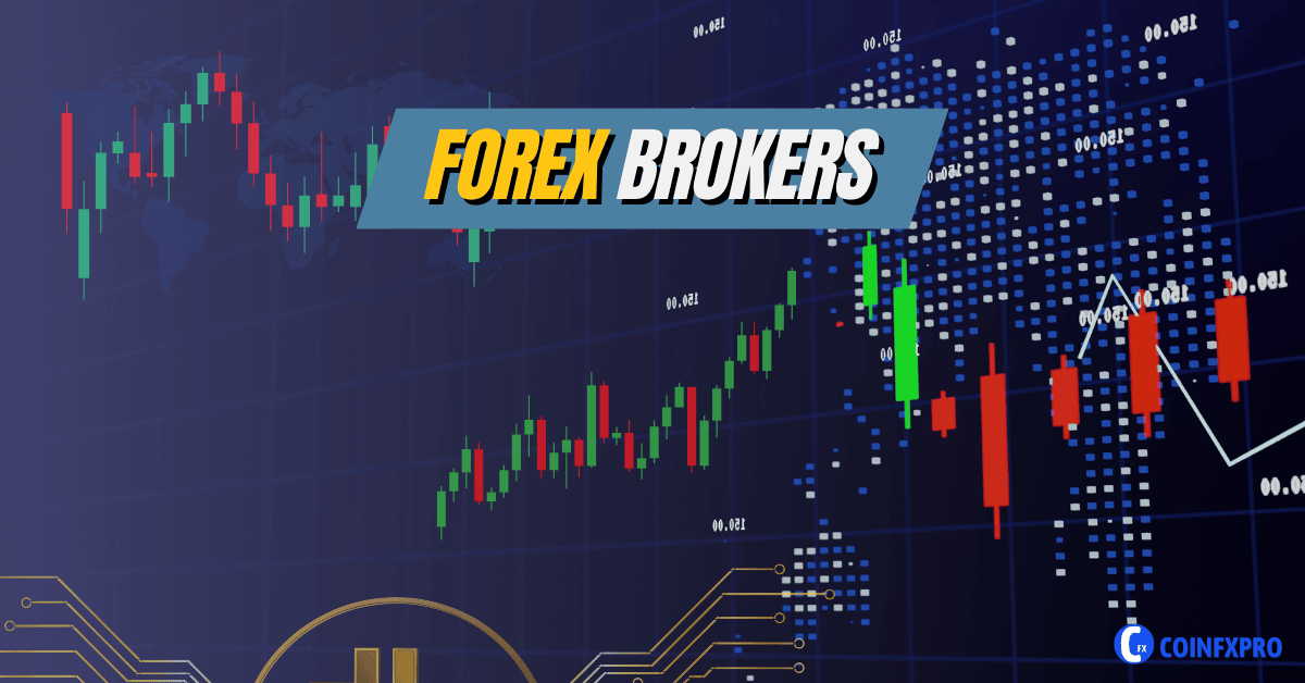 Comprehensive Guide to Forex Brokers