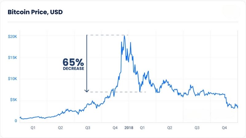 the Bitcoin price drop during the 2018 market crash